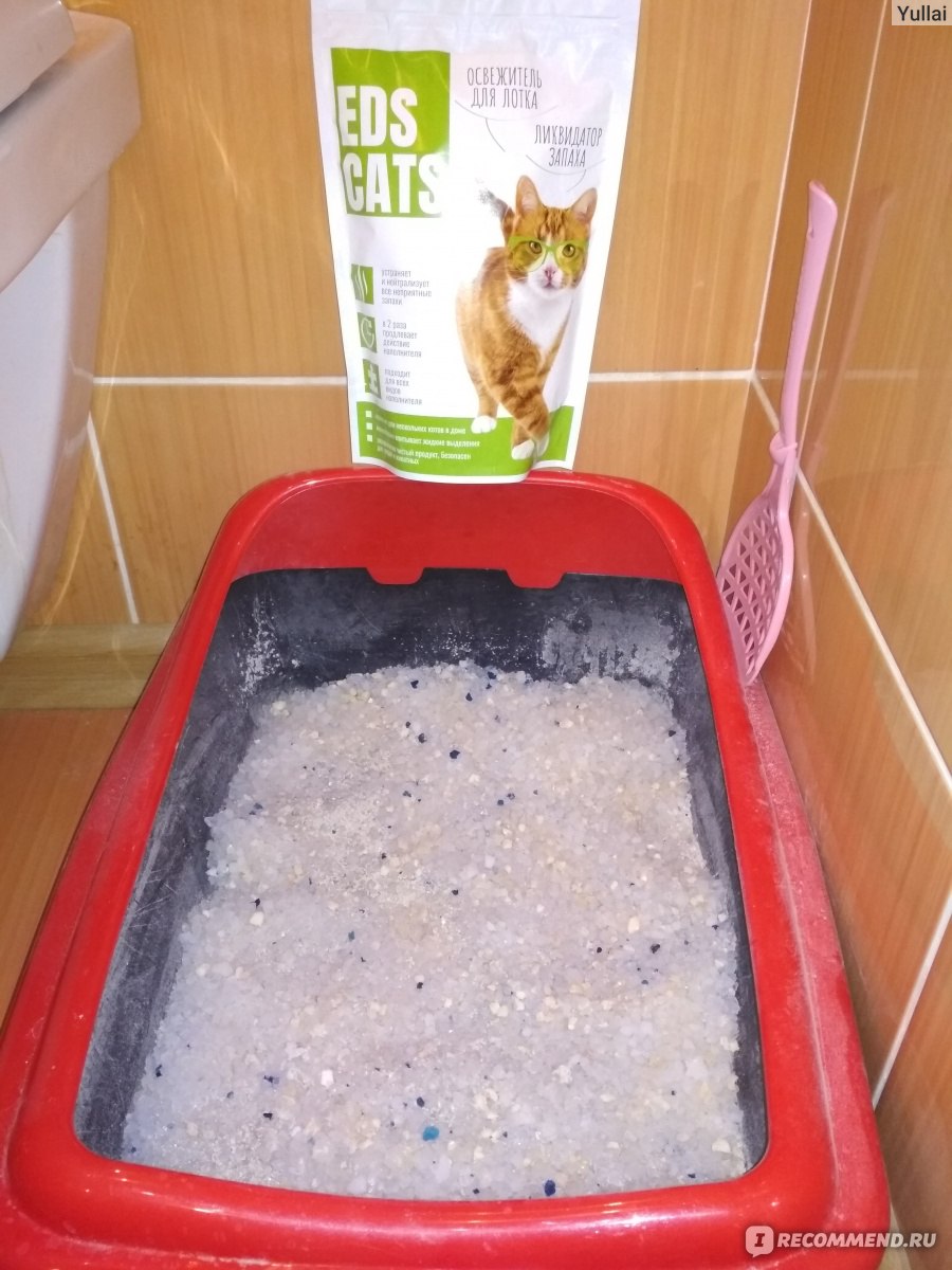 Как избавиться от запаха кошачьего туалета: способы