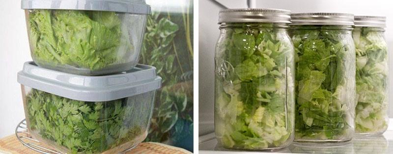 Салатный лист хорошо переносит заморозку, если правильно выбрать зелень, промыть и просушить Два рецепта и советы по заморозке салата