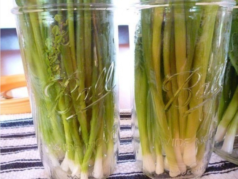 Как хранить зеленый лук на зиму долго (в холодильнике, морозилке)