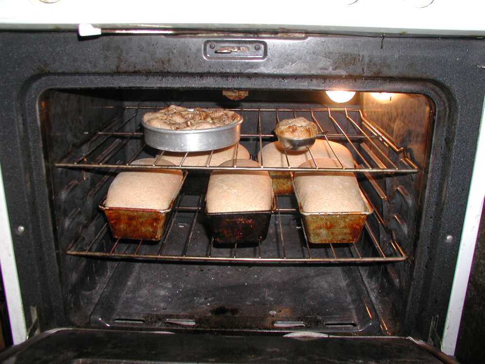 Подгорает низ выпечки в газовой духовке: что делать, если пирог не пропекается?
