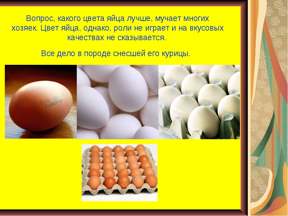 Почему куриные яйца бывают разного цвета и зависит ли количество полезных веществ от оттенка скорлупы