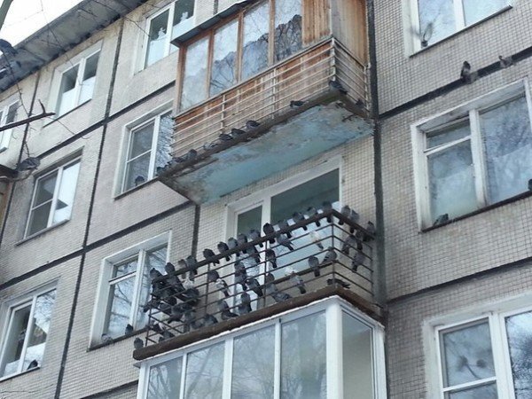 Чтобы отвадить голубей от балкона, подоконника или двора воспользуйтесь народными советами или профессиональными средствами Отпугнуть птиц с балкона помогут чучело, шипованная лента или ультразвук
