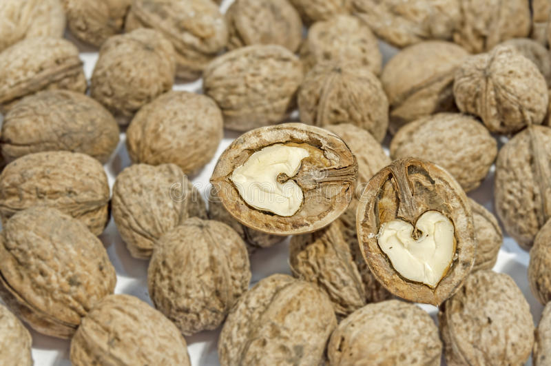 Как правильно просушить грецкие орехи после сбора урожая в домашних условиях