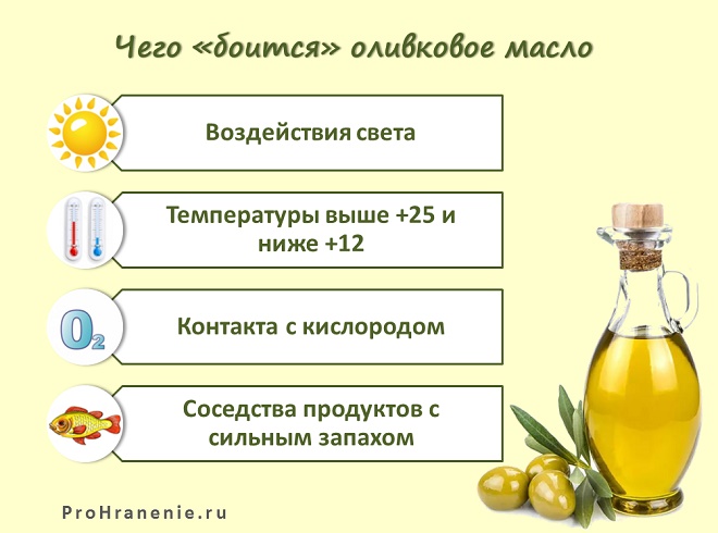 Как сохранить вкус и качество оливкового масла