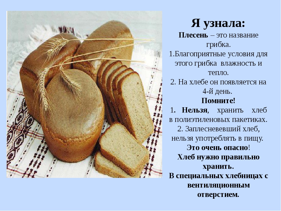 Как правильно хранить хлеб: нехитрые правила и полезные советы