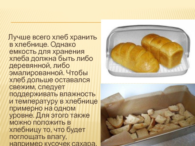 Учимся хранить хлеб дома правильно, чтобы оставался долго свежий и не плесневел