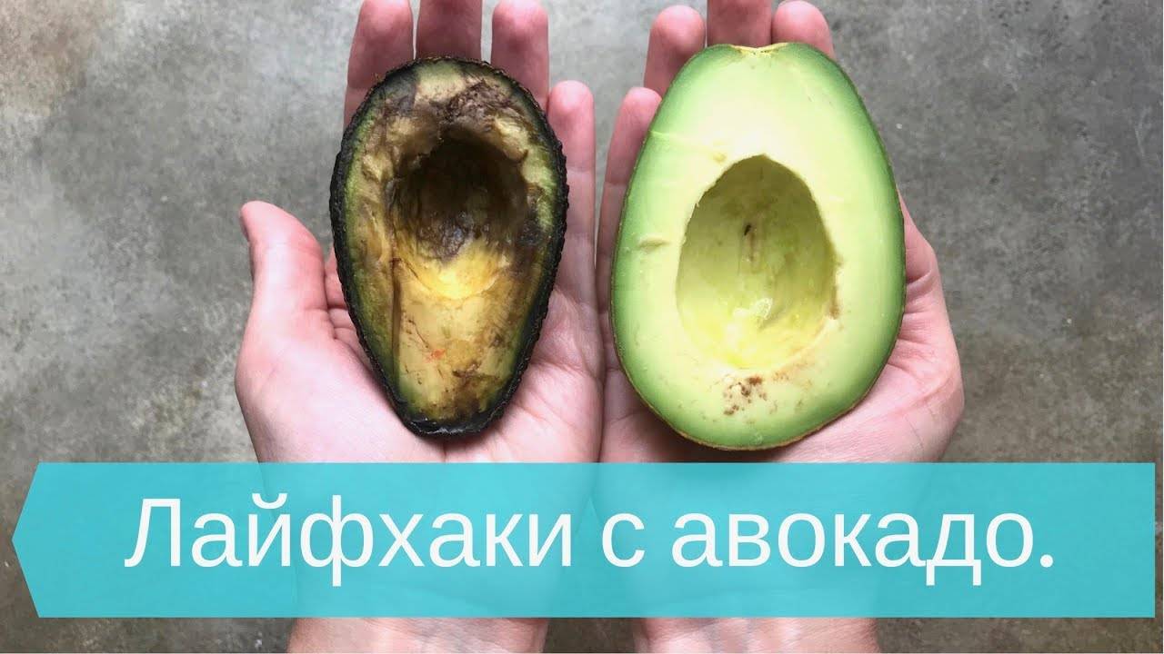 Почему нельзя авокадо. Степень зрелости авокадо Хасс. Авокадо спелое. Авокадо в разрезе. Как выбрать спелый авокадо.
