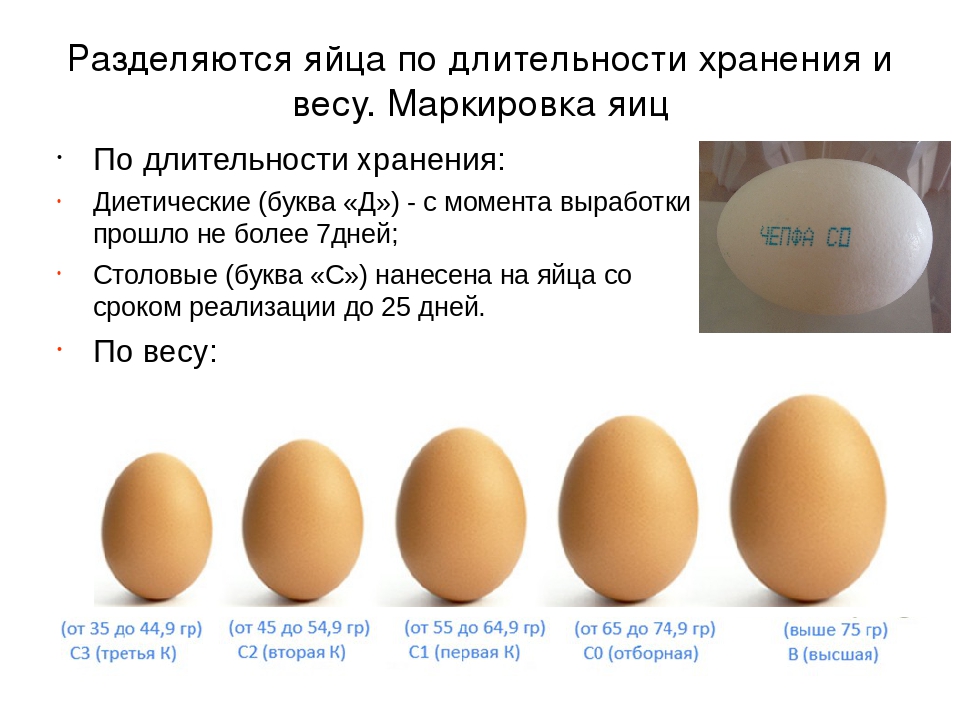 Можно ли мыть яйца перед хранением в холодильнике, если они грязные