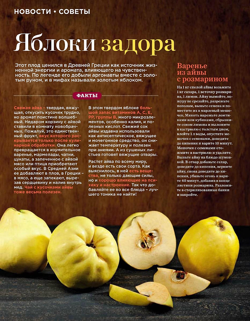 Полезные свойства айвы и противопоказания для организма, рецепты приготовления фрукта