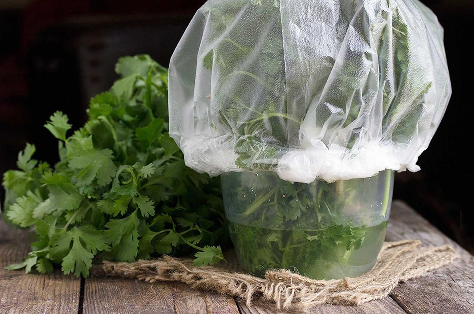 Как хранить зелень в холодильнике долго свежей: простые проверенные способы