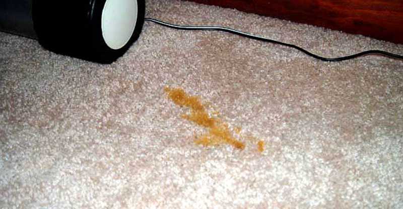 Как избавиться от запаха собачьей мочи на ковре