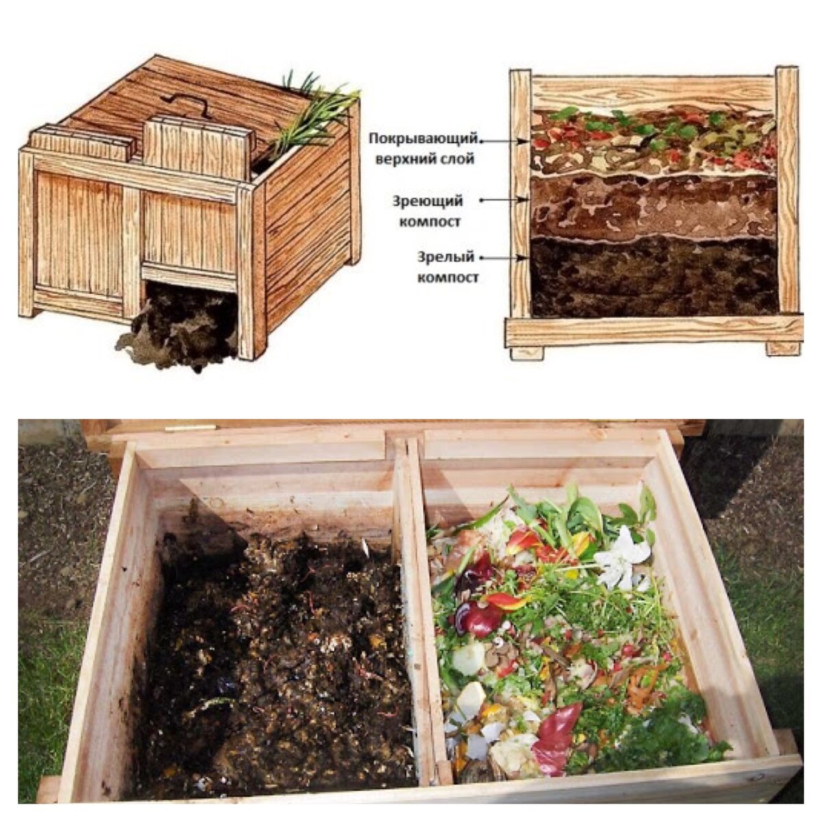 Чтобы получить качественное органическое удобрение для подкормки садовых и огородных культур, важно знать, что можно и нельзя закладывать в компостную яму