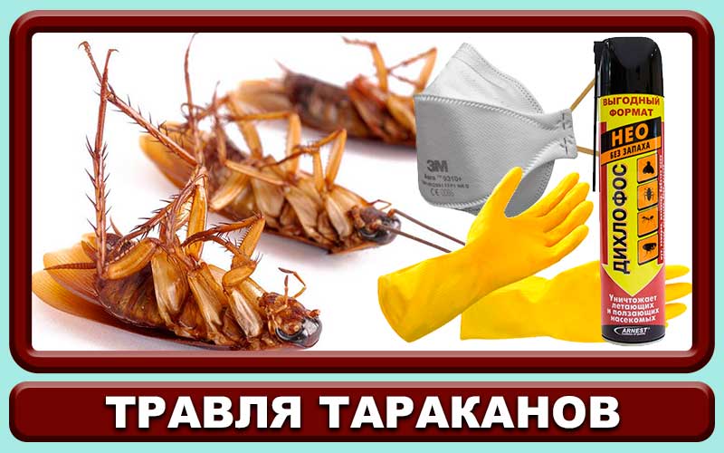 «дихлофос » от тараканов без запаха — состав
