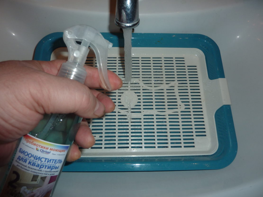 Как правильно мыть кошачий лоток, с какой регулярностью Современные и домашние средства для мытья и дезинфекции