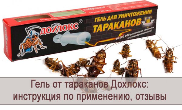 Дохлокс гель от тараканов: состав и принцип действия, отзывы