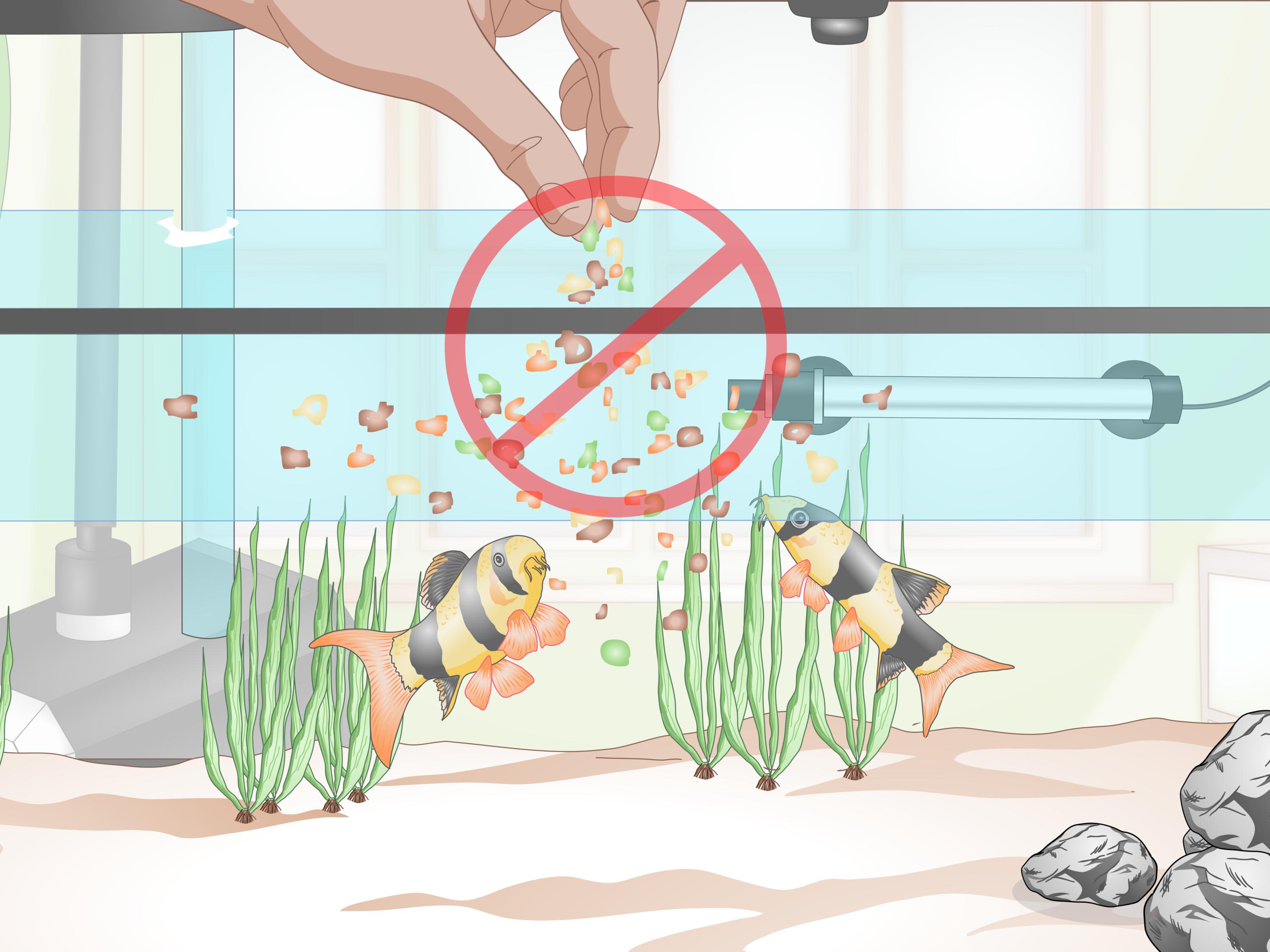 Допустимо ли использовать воду из под крана для аквариума в домашних условиях?