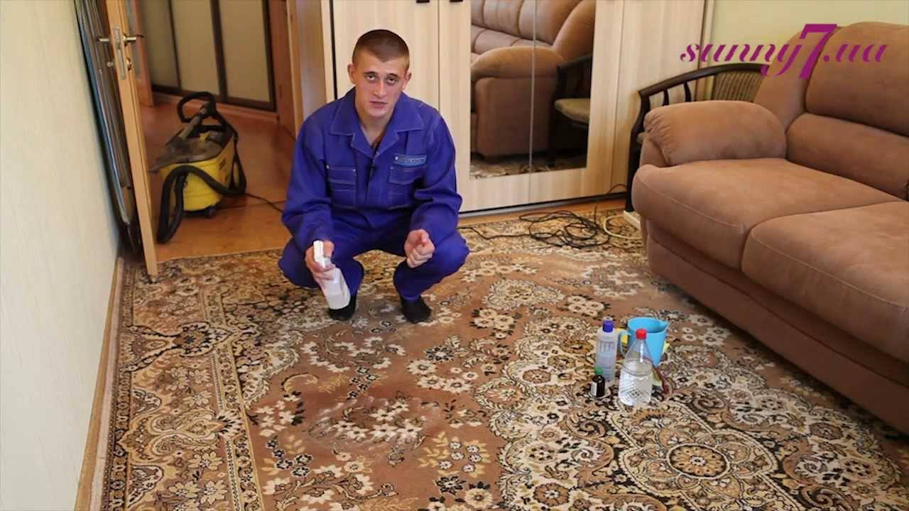Как и чем провести сухую чистку ковра в домашних условиях?
