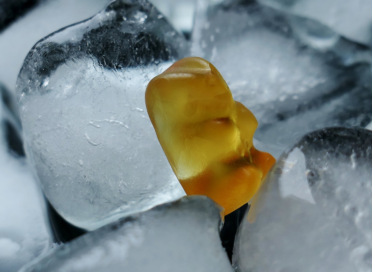 Удивляю своих гостей кристально прозрачным льдом в напитках: брат-бармен научил правильной заморозке