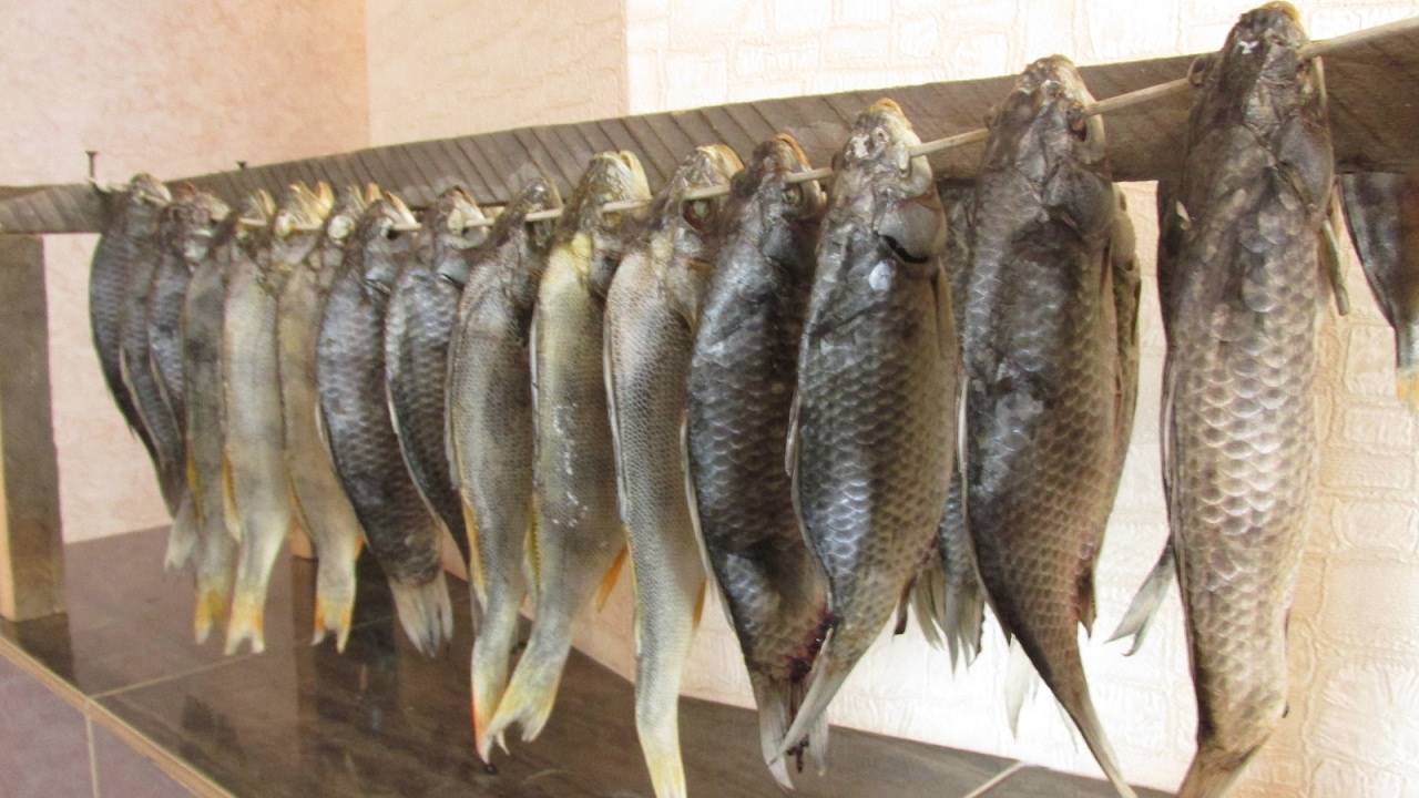 Как хранить вяленую рыбу в домашних условиях: отличия от сушеной