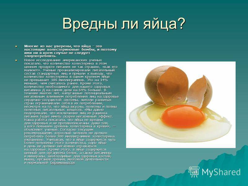 Почему нельзя варить долго яйца: научное обоснование