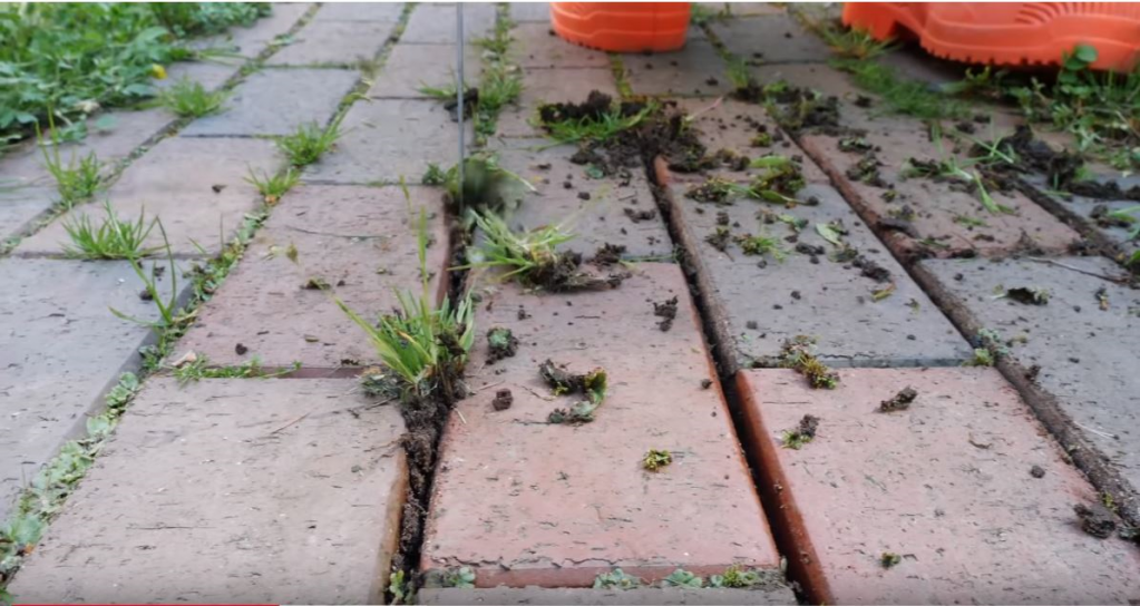 Как избавиться от травы между тротуарной плиткой — методы и варианты