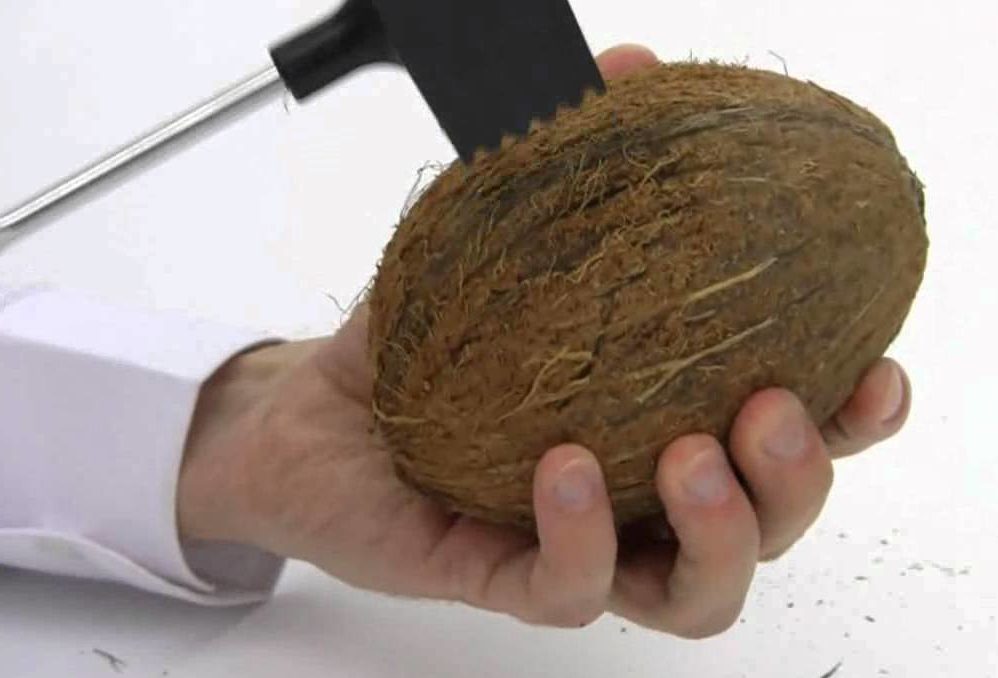 Как почистить кокос: различные способы и полезные рекомендации по разделке ореха и получении мякоти