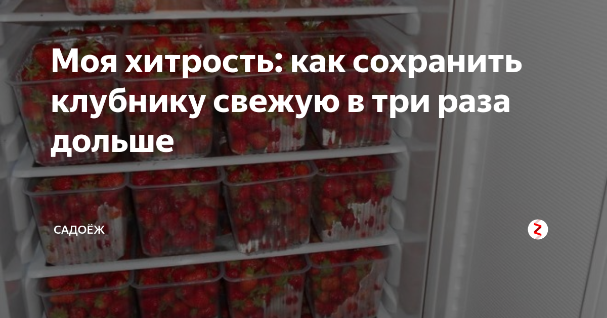 Как сохранить клубнику свежей в холодильнике, сколько хранится в домашних условиях