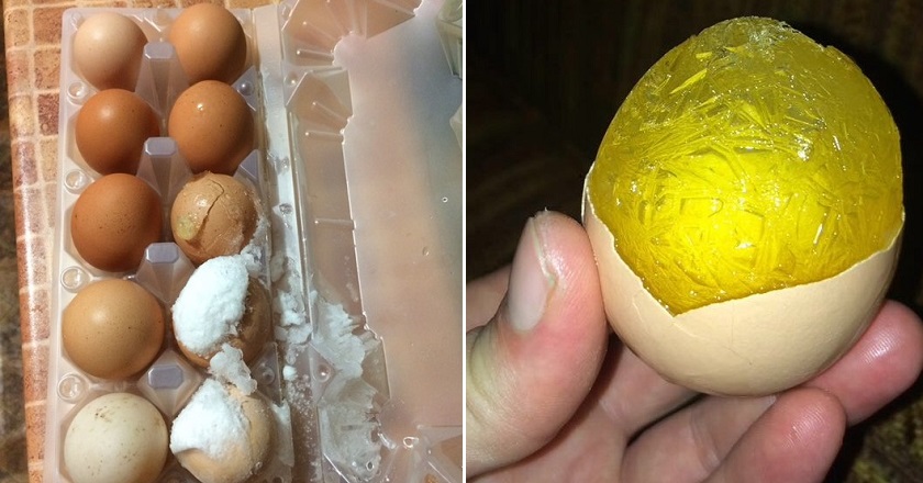 Что будет, если заморозить яйца - 7 необычных лайфхаков для облегчения жизни хозяек