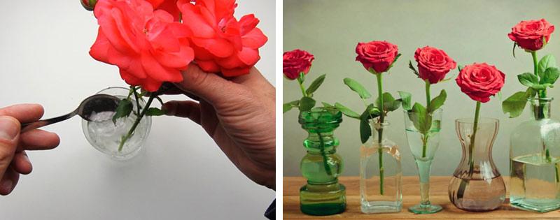Продлеваем жизнь срезанным розам — способы сохранения цветов в вазе на долго и свежими
