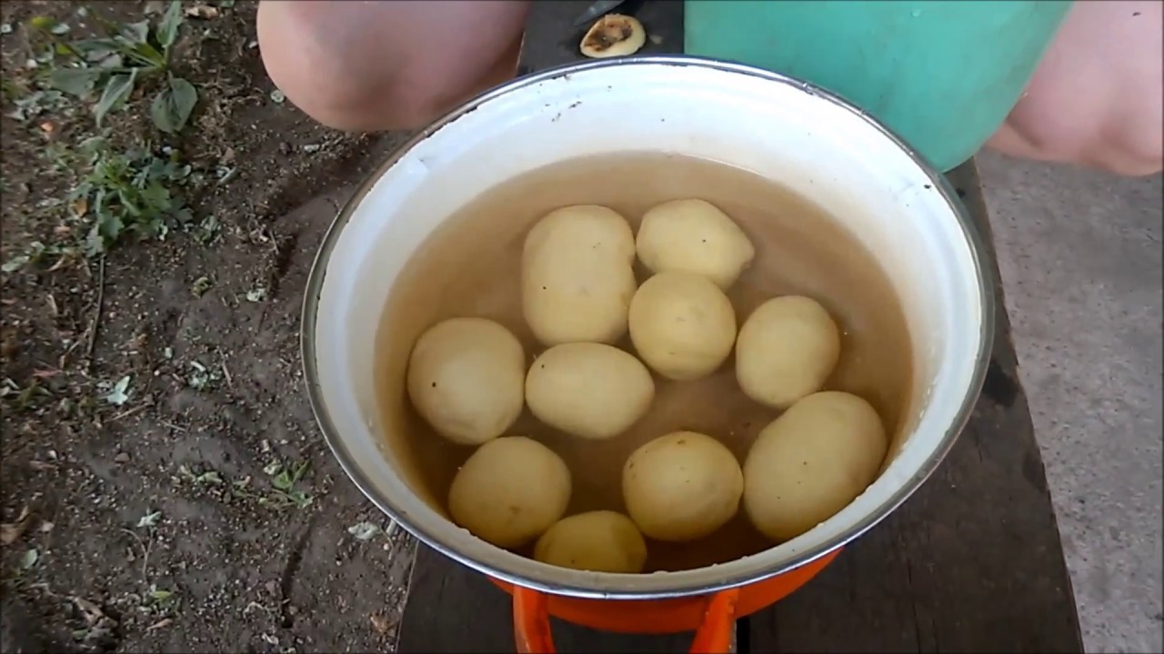 Как быстрее почистить картошку. можно ли сделать процесс чистки картошки быстрее? картошка в мундире в микроволновке