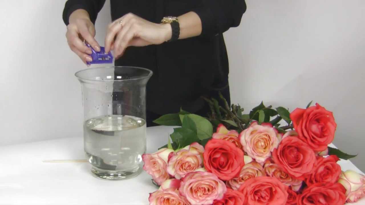 Как сохранить срезанные розы в вазе дольше всего: правила ухода за срезанными цветами