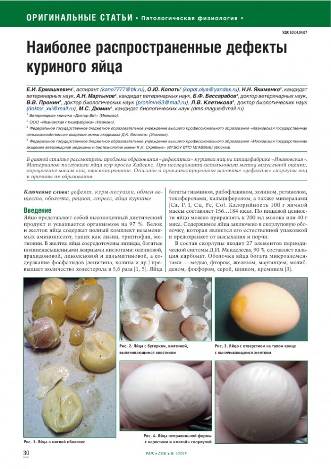 Цветные яйца: какие куры несут зеленые и голубые яйца (пасхальные)