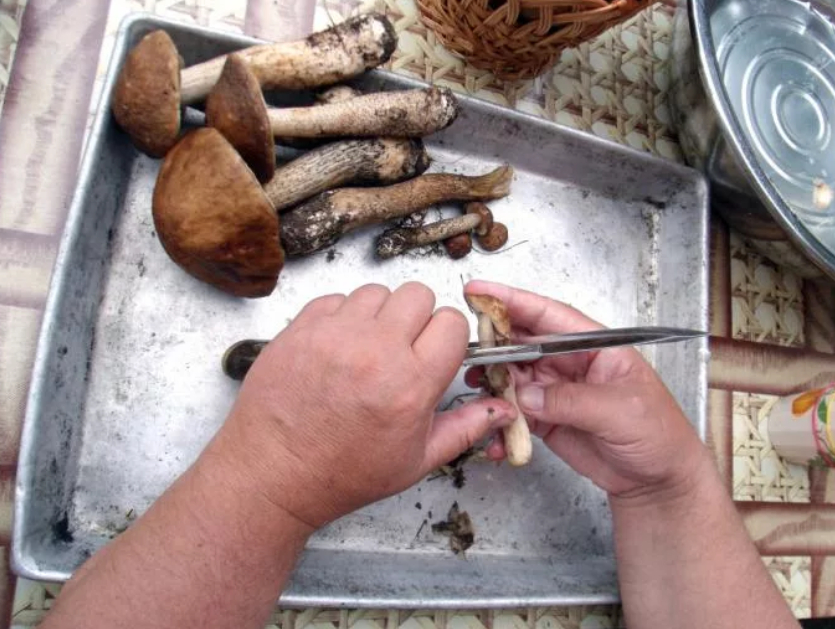 Как вымыть песок из грибов- рецепт пошаговый с фото