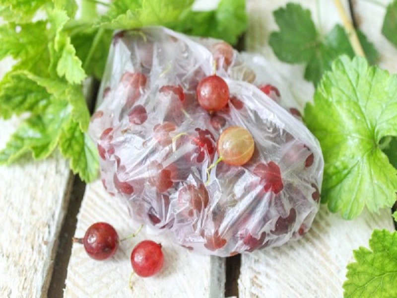 Можно ли заморозить ягоды крыжовника на зиму — польза, 5 способов заморозки
