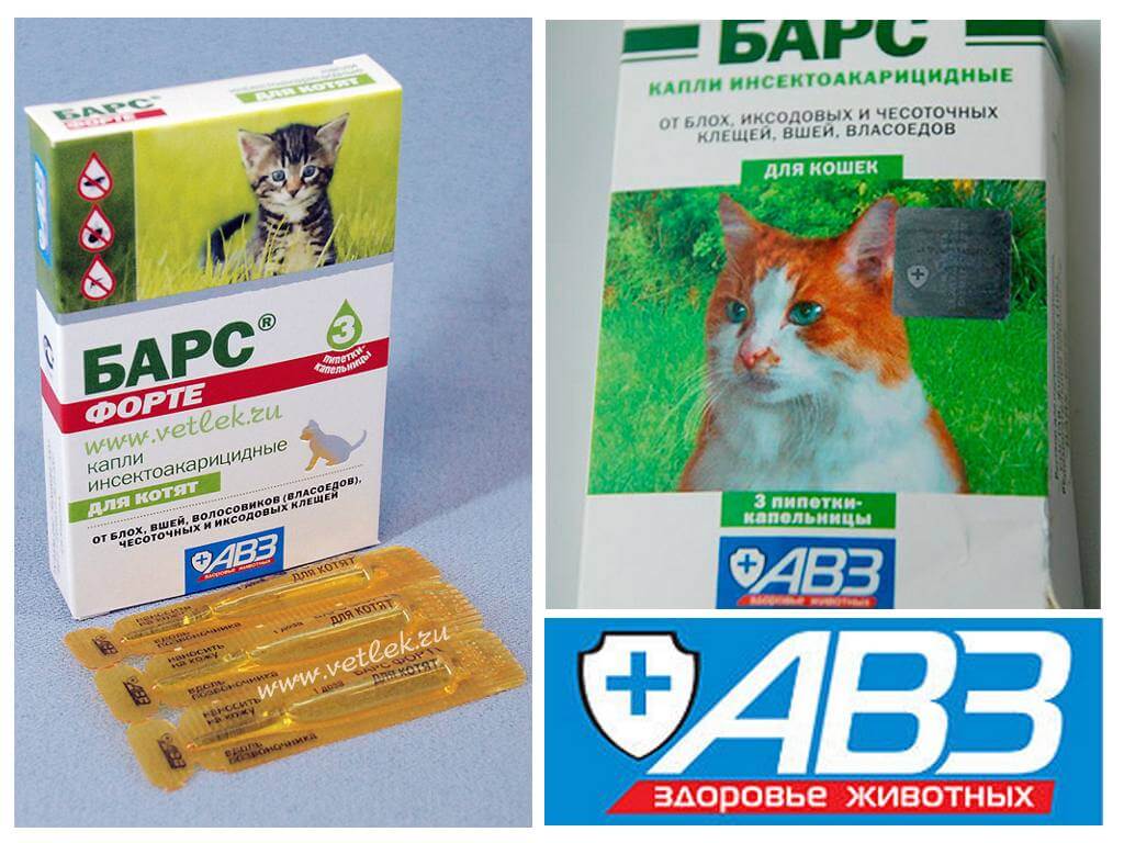 Ветеринарный спрей барс инсектоакарицидный для кошек и собак: инструкция по применению