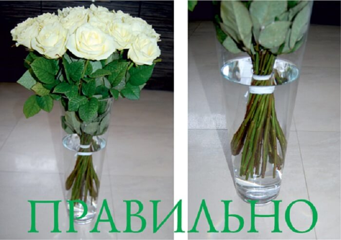 Чтобы розы дольше стояли в вазе дома: что нужно добавить, положить в воду