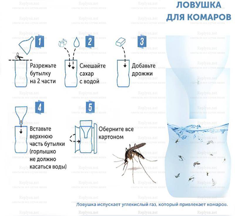 10 ароматов, которые отпугивают комаров :: инфониак