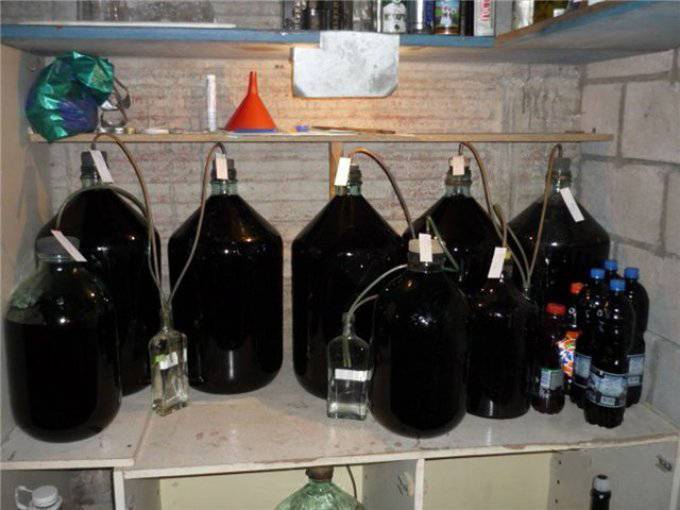 Как правильно хранить вино: создай условия для благородного напитка