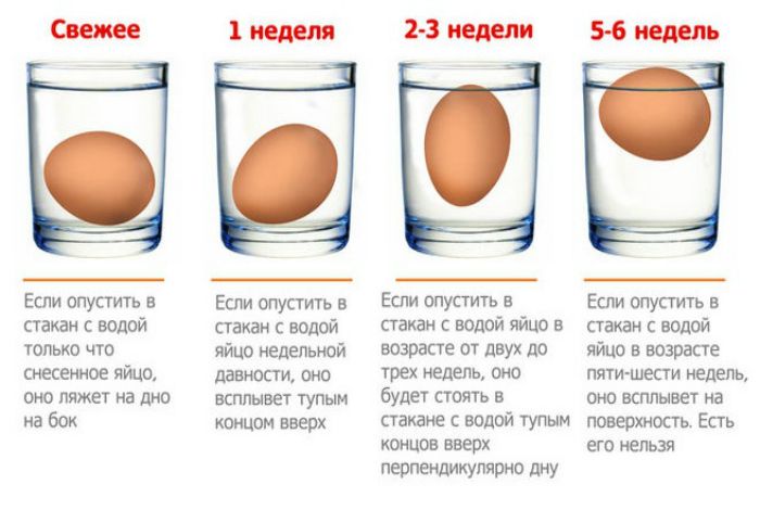 Как правильно хранить яйца в домашних условиях – способы, сроки хранения