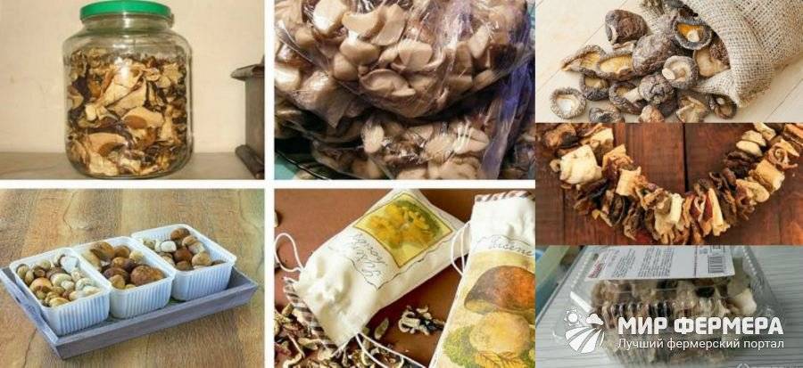 Как хранить сушеные грибы в домашних условиях?