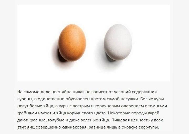 Почему наши хозяйки ищут отборные яйца, а европейские — «куриный горох»