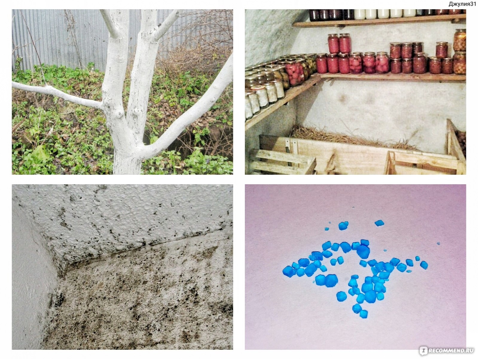 Медный купорос применение против грибка на стенах: как развести состав для обработки поверхности от грибка и плесени в квартире, как происходит обработка