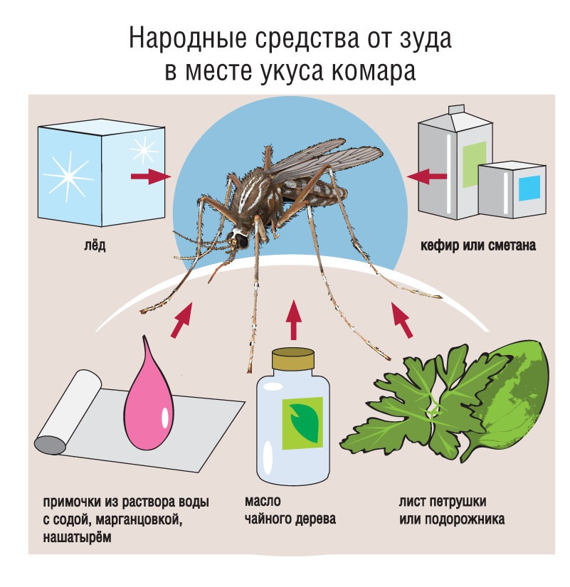 Избавиться от комаров в квартире и доме — можно! какие средства помогут избавиться от комаров дома и на улице