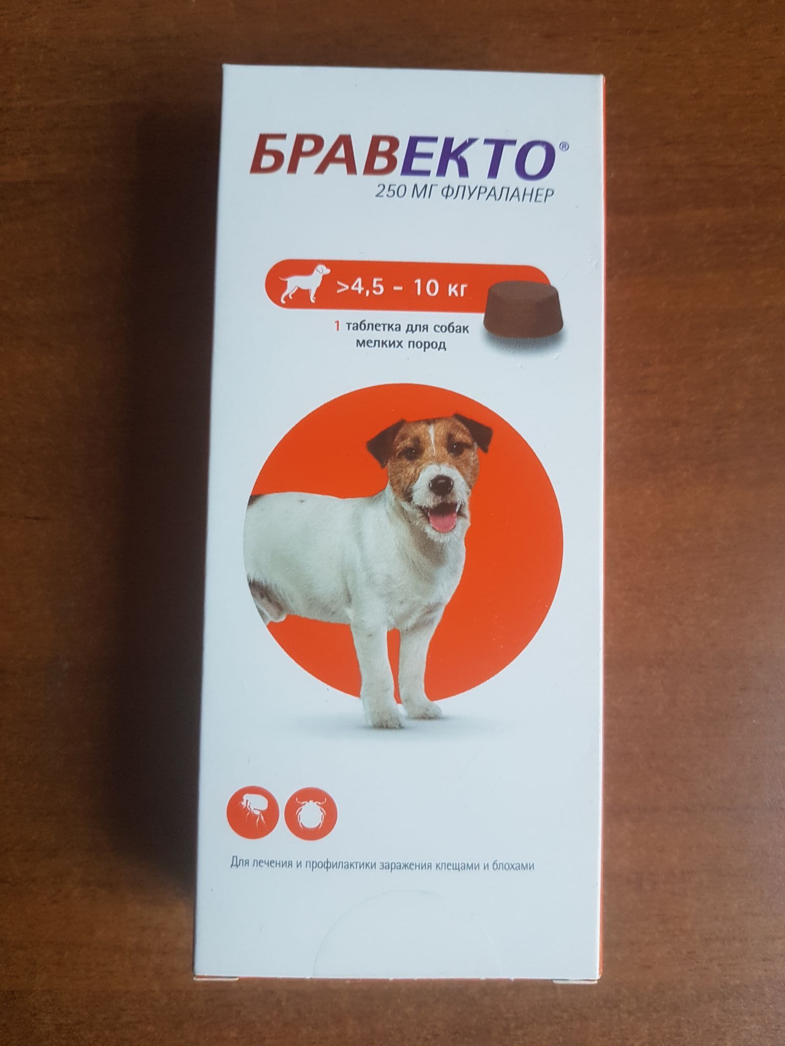 Таблетки от клещей для собак: инструкции, действие, рейтинг, цена и где купить | petguru