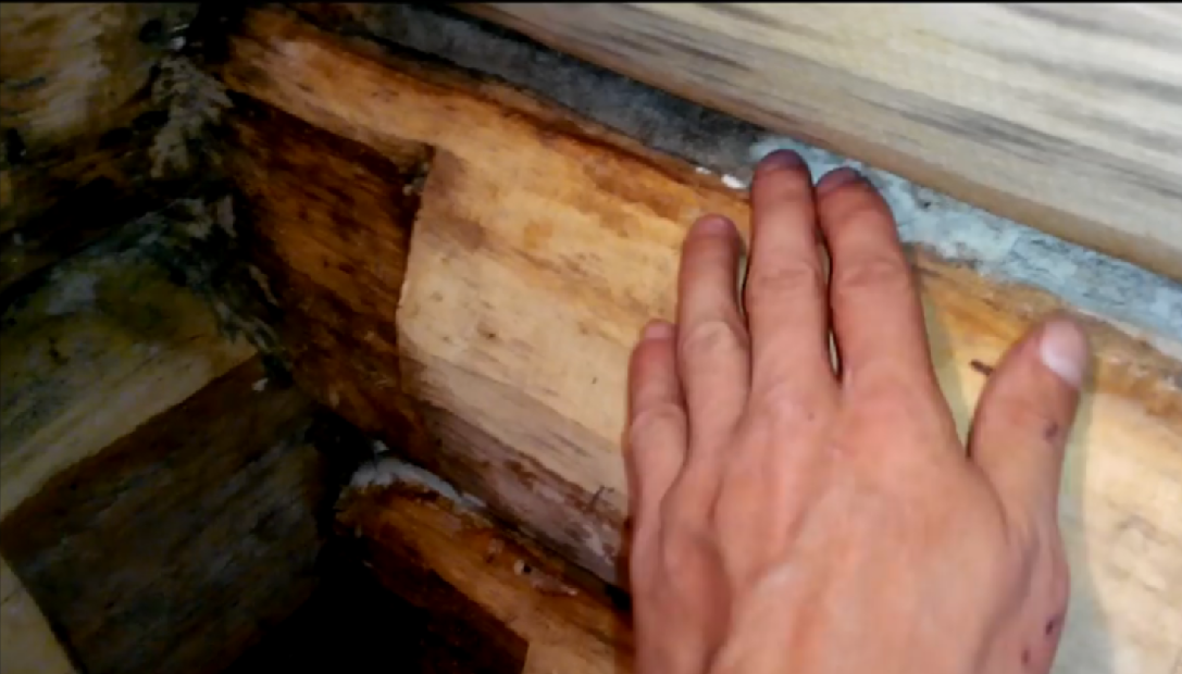 Чем вывести грибок в бане на полу и стенах | строительство. деревянные и др. материалы
