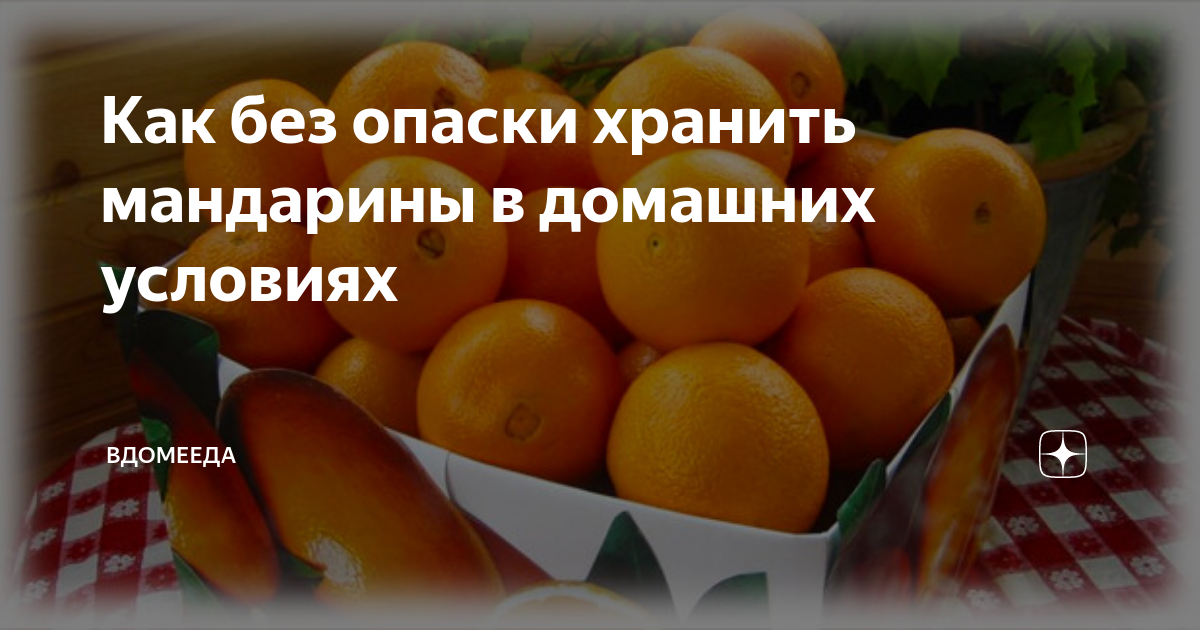 Условия и сроки хранения мандаринов: можно ли их держать в холодильнике