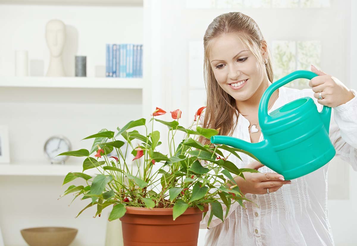 Как сделать воду мягкой в домашних условиях: смягчители воды