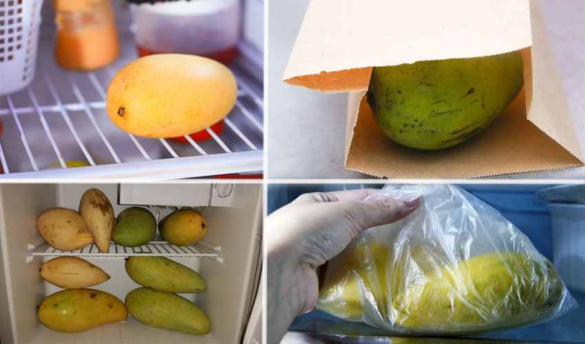 Как хранить манго в домашних условиях правильно и срок хранения плодов манго в холодильнике
