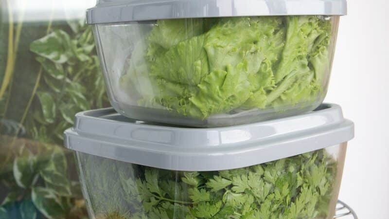 Какие овощи можно замораживать в морозильной камере на зиму: правила заморозки, пошаговая инструкция, советы и рекомендации