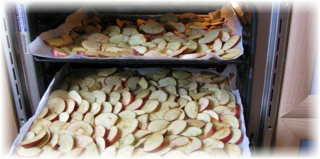 Как сушить яблоки в духовке на противне или решетке - в газовом и электрическом шкафу